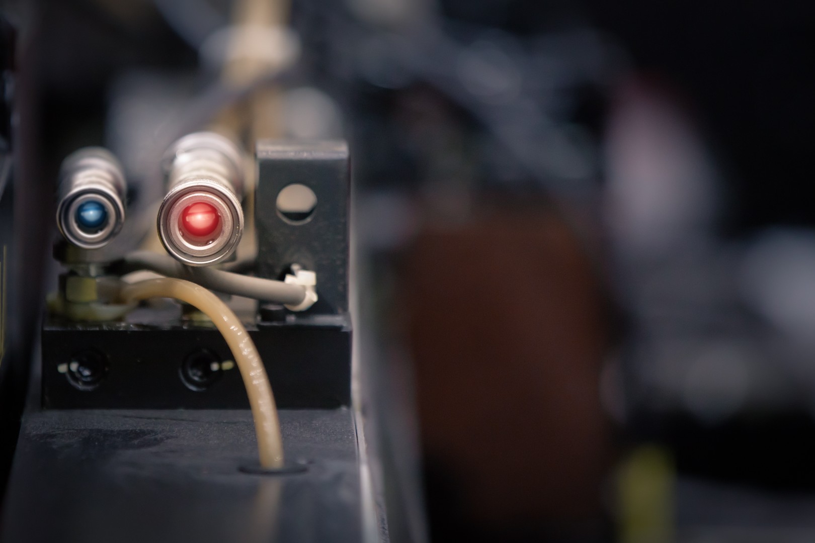 shutterstock_1087526135